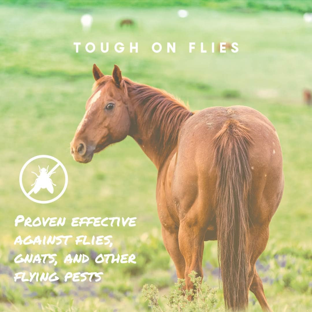 Aloe Herbal Horse Spray | Fly Repellent with Aloe, Sunscreen, and Coat Conditioners | Promotes a Healthy Coat and Protection from the Sun | 1 Gallon Concentrate