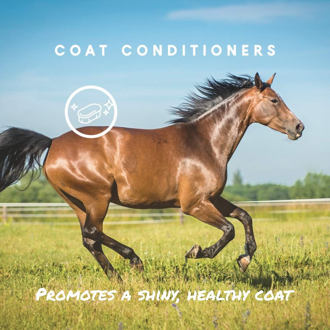 Aloe Herbal Horse Spray | Fly Repellent with Aloe, Sunscreen, and Coat Conditioners | Promotes a Healthy Coat and Protection from the Sun | 1 Gallon Concentrate