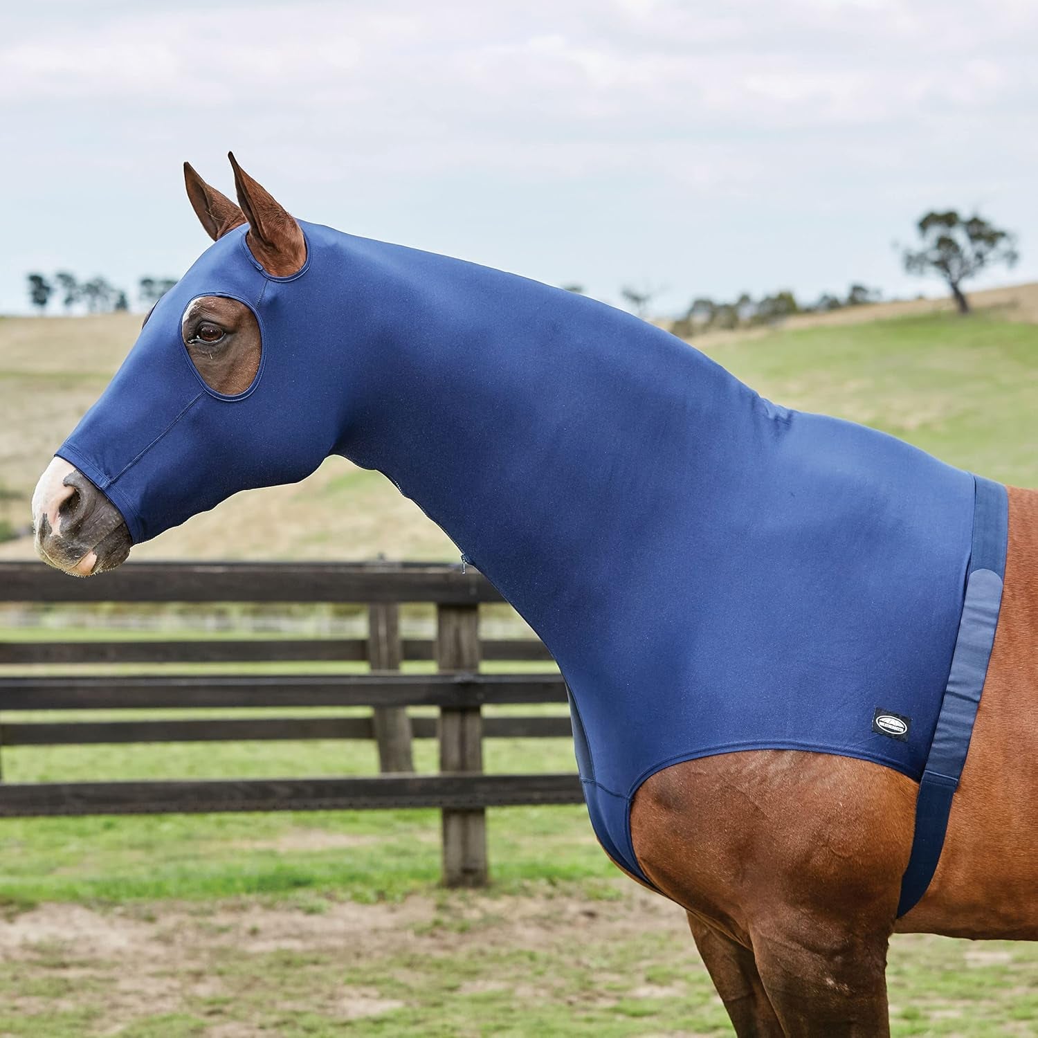 Stretch Hood with Zip, Navy, Cob