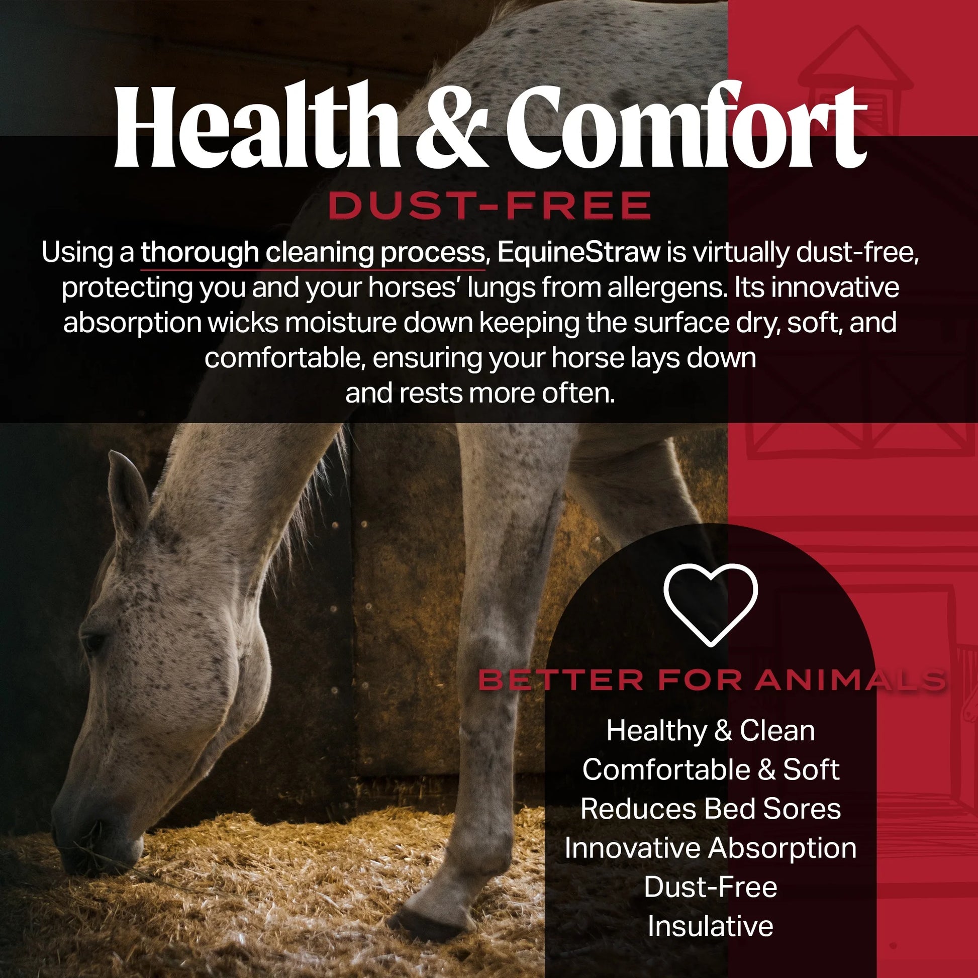 Equinestraw, 3 Cu Ft - All-Natural Wheat Straw Bedding for High-Performance Horses, Foaling and Trailers - Horses with Respiratory or Sensitive Skin Issues- Sustainably Sourced - Cleaned