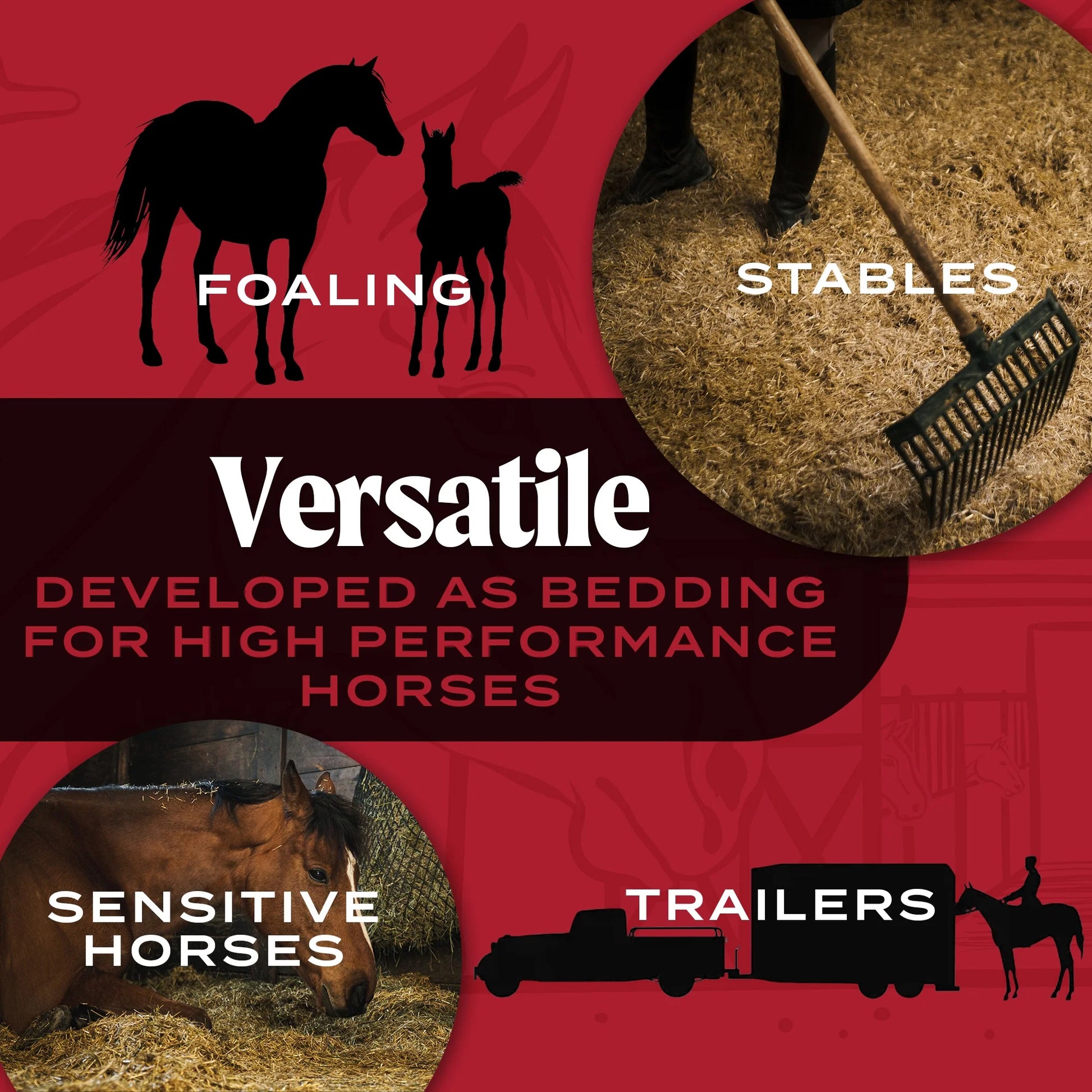 Equinestraw, 3 Cu Ft - All-Natural Wheat Straw Bedding for High-Performance Horses, Foaling and Trailers - Horses with Respiratory or Sensitive Skin Issues- Sustainably Sourced - Cleaned