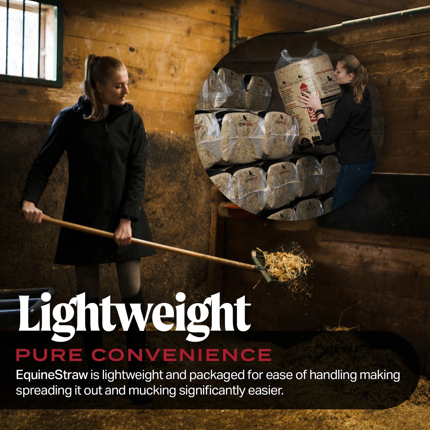 Equinestraw, 3 Cu Ft - All-Natural Wheat Straw Bedding for High-Performance Horses, Foaling and Trailers - Horses with Respiratory or Sensitive Skin Issues- Sustainably Sourced - Cleaned
