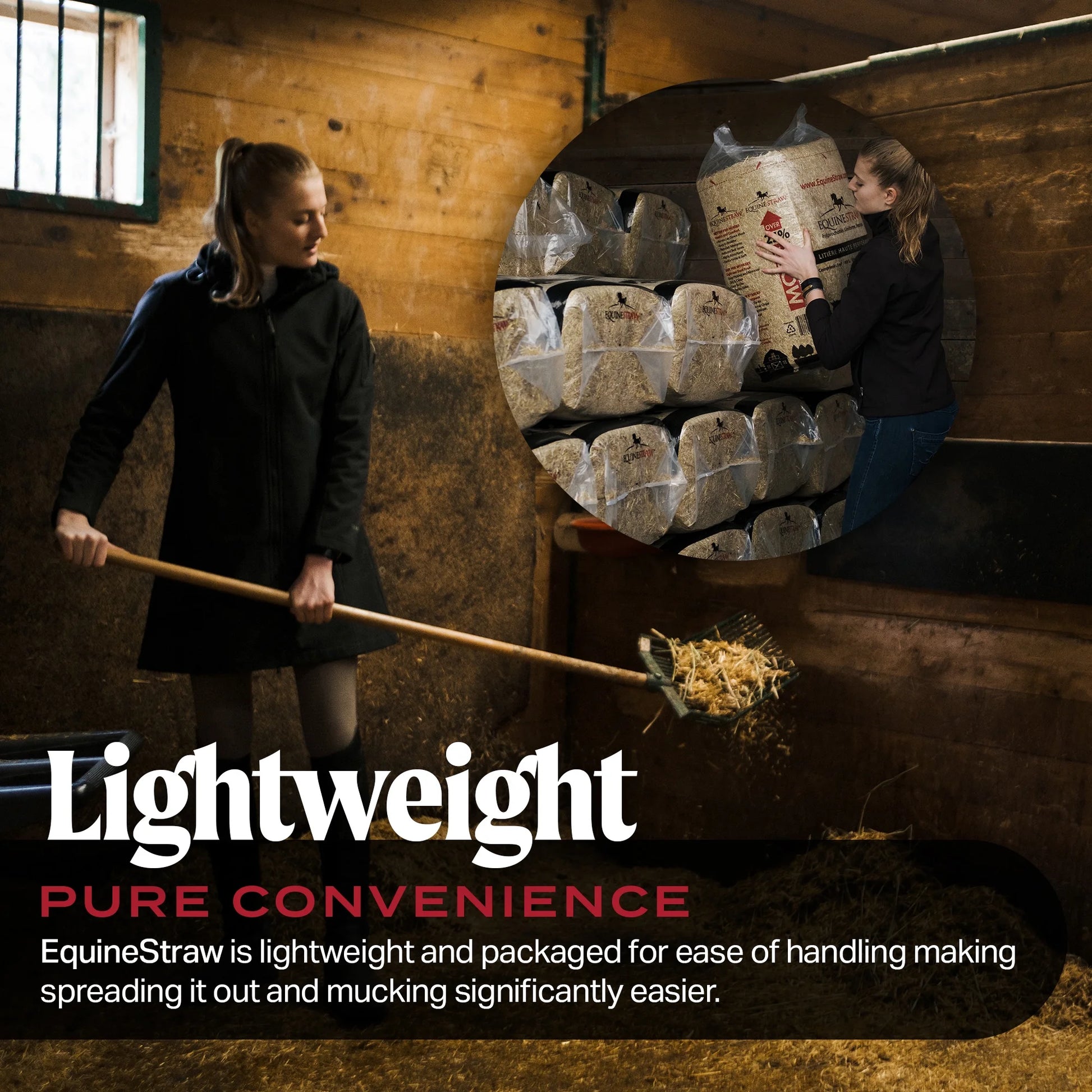 Equinestraw, 3 Cu Ft - All-Natural Wheat Straw Bedding for High-Performance Horses, Foaling and Trailers - Horses with Respiratory or Sensitive Skin Issues- Sustainably Sourced - Cleaned