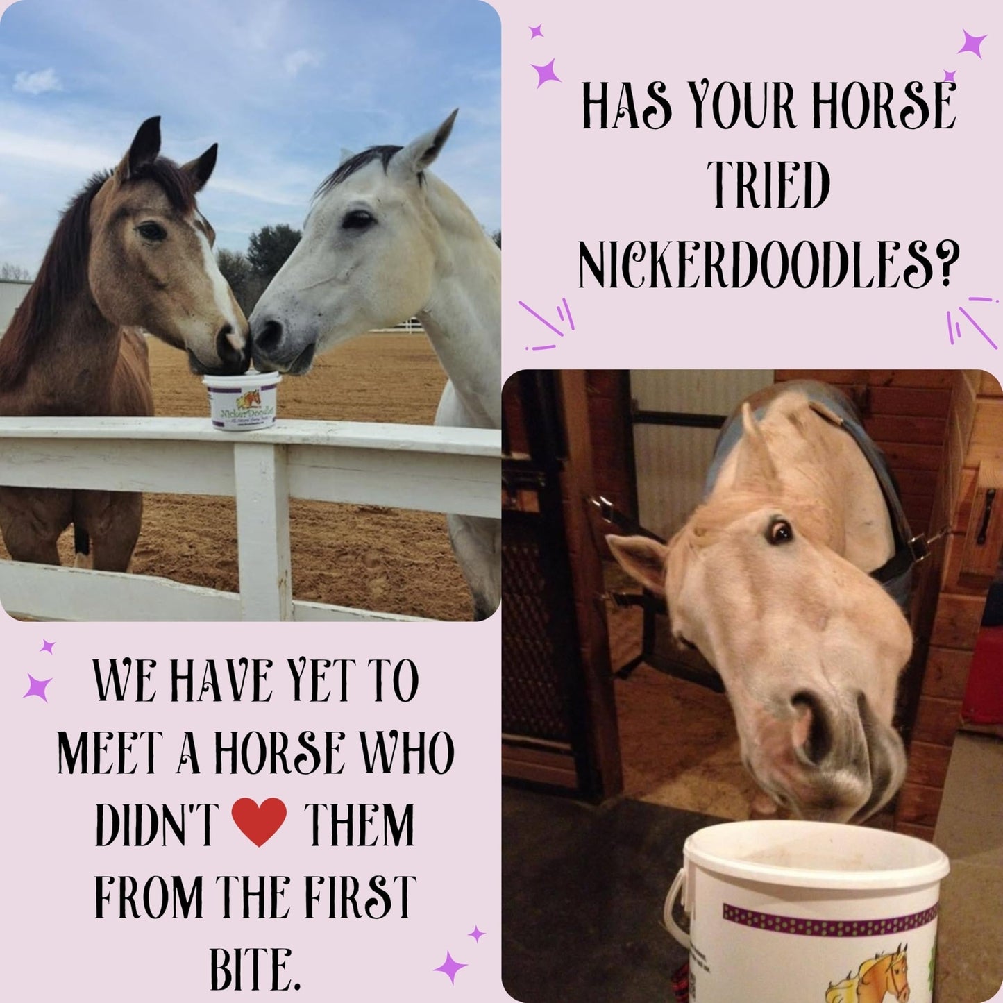 Nickerdoodles Horse Treats 2Lb Soft Baked Pill Pockets for Easy Medication